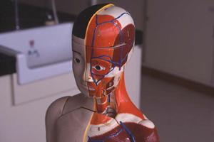 江坂の消化器内科で胃カメラ検査