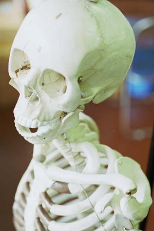 新宿で見つける！信頼できるメンタルクリニックの選び方とおすすめガイド