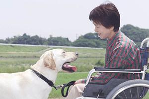 和光市の胃腸科で健康管理！ストレス対処から食事管理まで徹底サポート