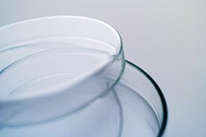 治験ボランティアの募集を行うサイト