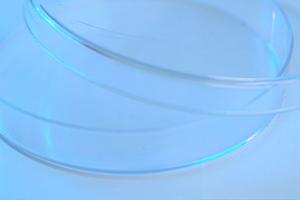 港南区で安心して通える歯医者を徹底ガイド｜家族みんなの歯の健康をサポート