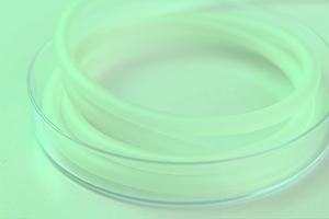 山口市で評判の歯医者徹底比較！選び方と最新治療情報2025