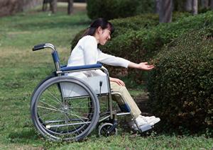 亀田駅の近くの歯医医院を探したい
