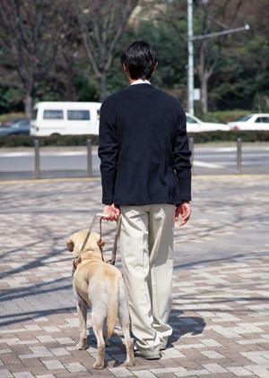 京都市中心エリアで子どもの矯正歯科