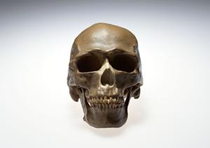 2025年最新版｜大阪市中央区で安心して受けられる内視鏡検査の徹底ガイド