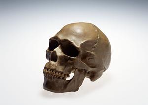 梅田の福島クリニックで心のケアの治療