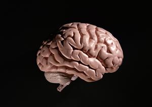 身体の不調を根本から改善!小平市の内科クリニックで健康管理を始めよう