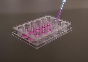 赤羽エリアで皮膚トラブル（水虫）の効果的な治療法を徹底解説