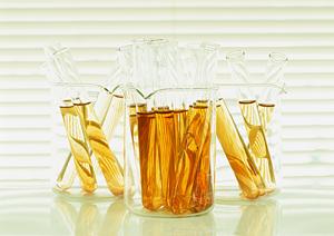 京田辺市から内科を受診するには