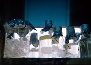 インプラント治療を受けるなら、ながい歯科クリニック